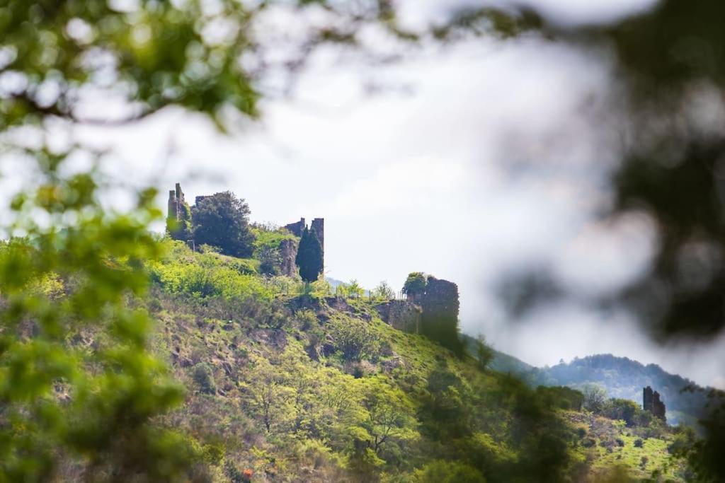 Villa Blanche, Contemporary, Cathars, Couiza, Carcassonne Buitenkant foto